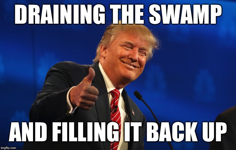 The Swamp Imgflip