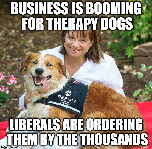 Therapy Dogs for Liberals Imgflip