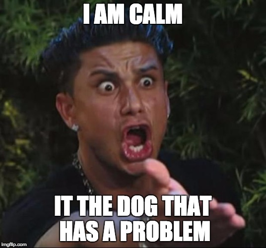DJ Pauly D Meme Imgflip