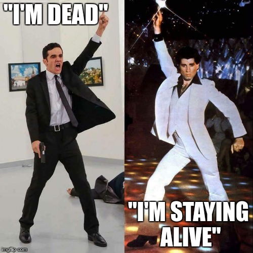 Image tagged in dead and alive Imgflip