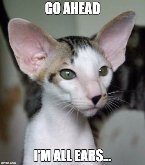 Must pay attention ! Imgflip