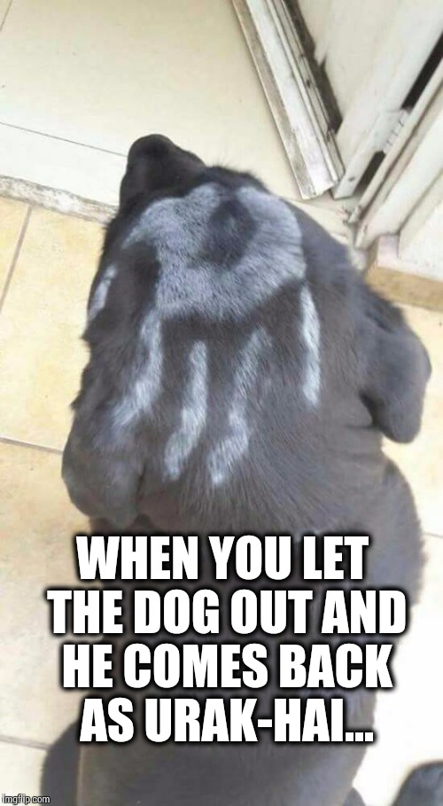 Lord Of The Dogs... Imgflip