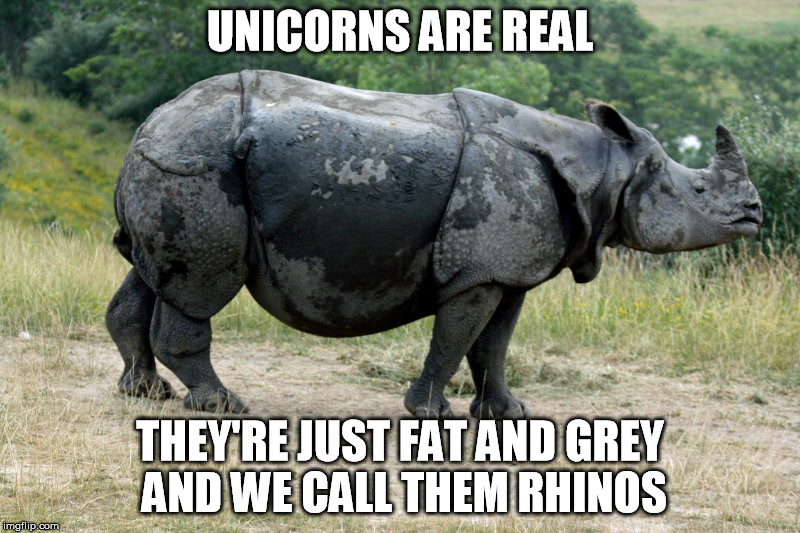 Unicorns are real Imgflip