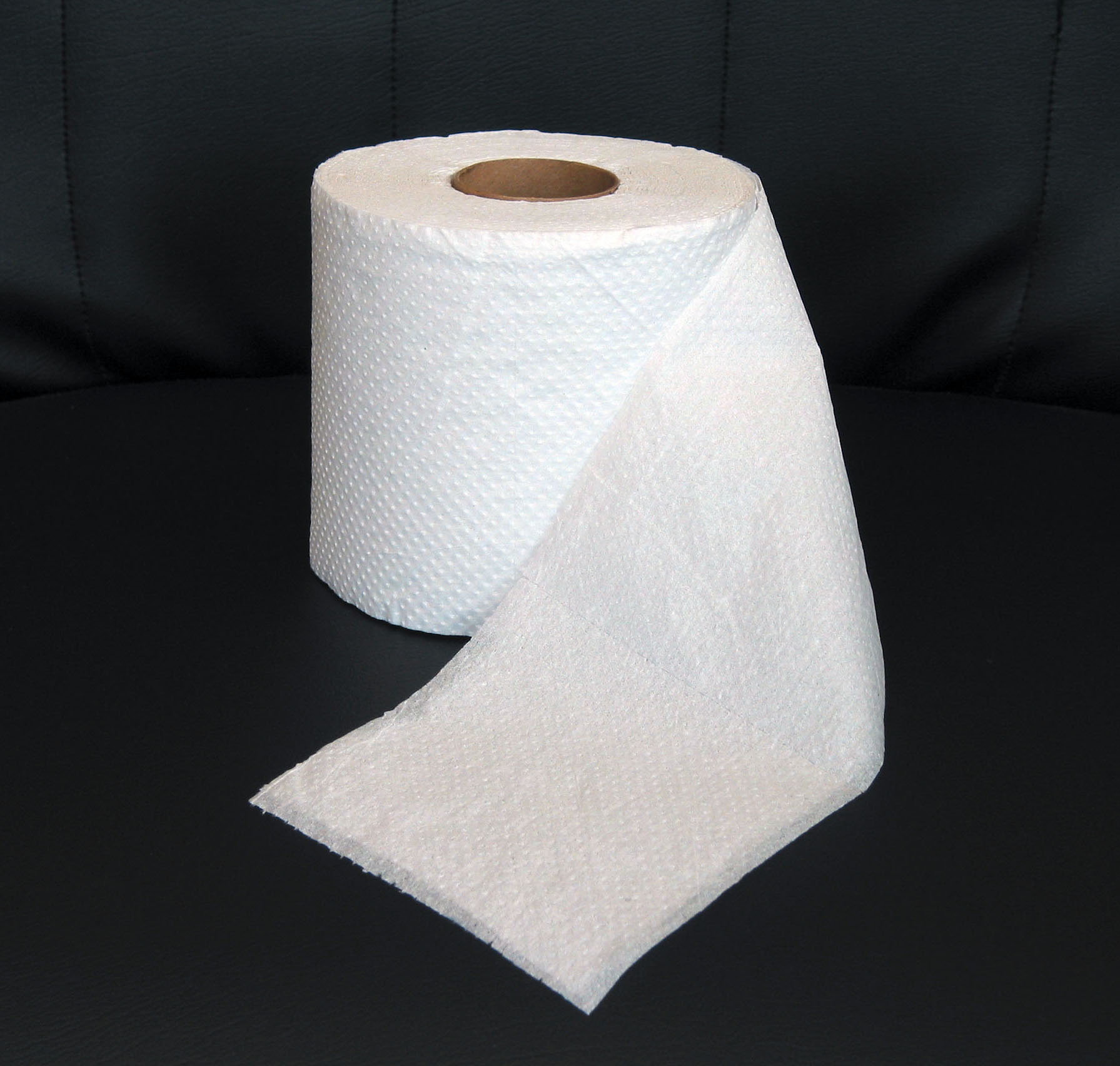 Toilet Paper Blank Template Imgflip