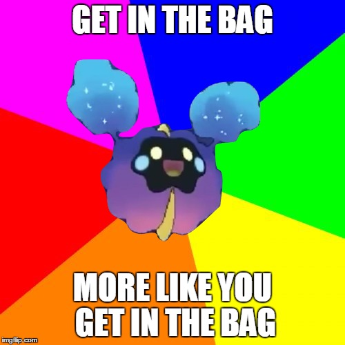 nebby get in the bag Imgflip