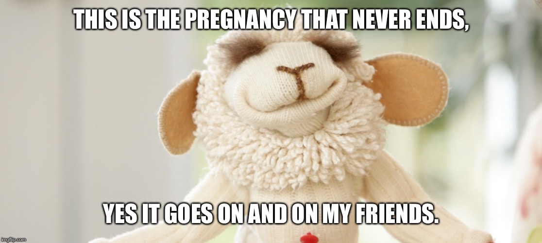 Overdue Pregnancy Imgflip
