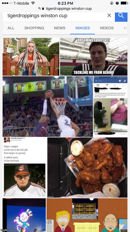 Tigerdroppings Google Image Search Joxy NSFWish "Tigerdroppings