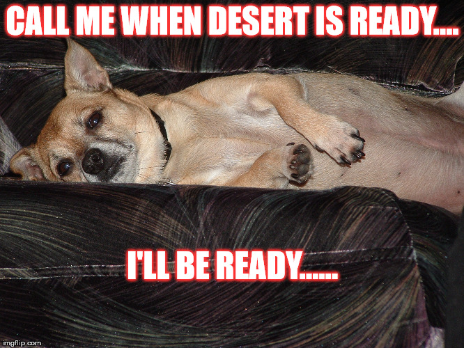 Lazy Dog Dessert Imgflip