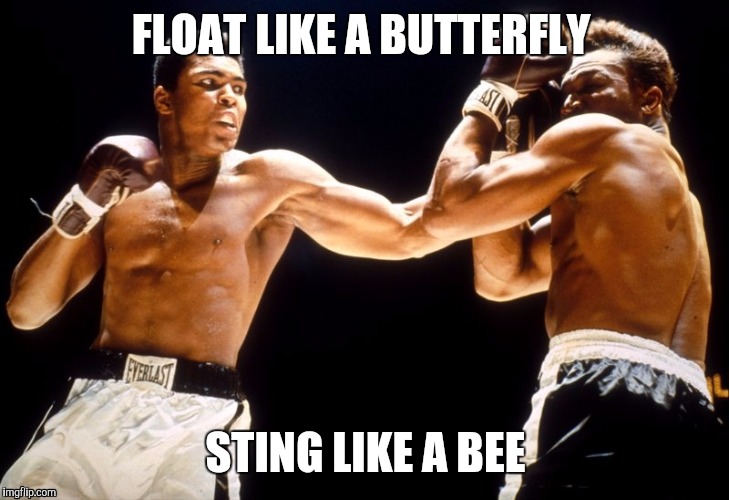 muhammad ali Imgflip