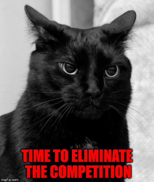 Some cats see competition everywhere... Imgflip
