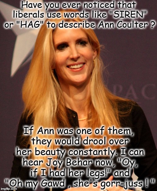 Image tagged in ann coulter Imgflip