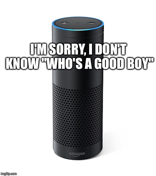 Image tagged in amazon echo Imgflip