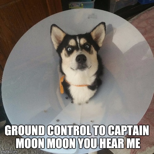 Ground Control to Moon moon Imgflip