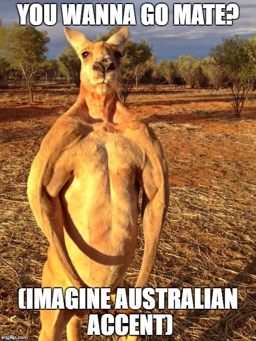 The native animal of australia everybody! Imgflip