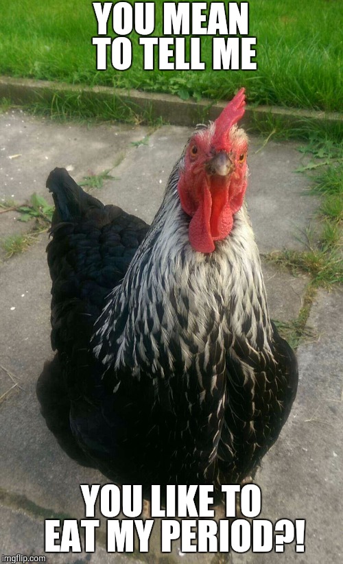 Image tagged in angry chicken,chicken,veganism,vegan Imgflip