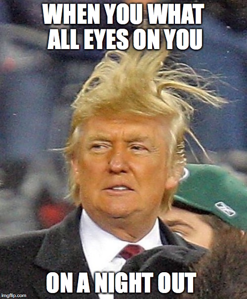 Donald Trumph hair Imgflip