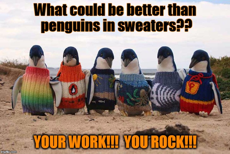 Image tagged in sweater_penguin Imgflip