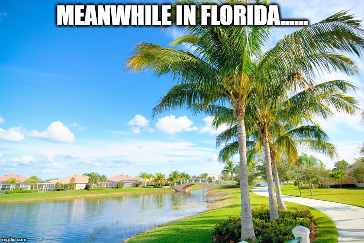 Meanwhile in Florida Imgflip