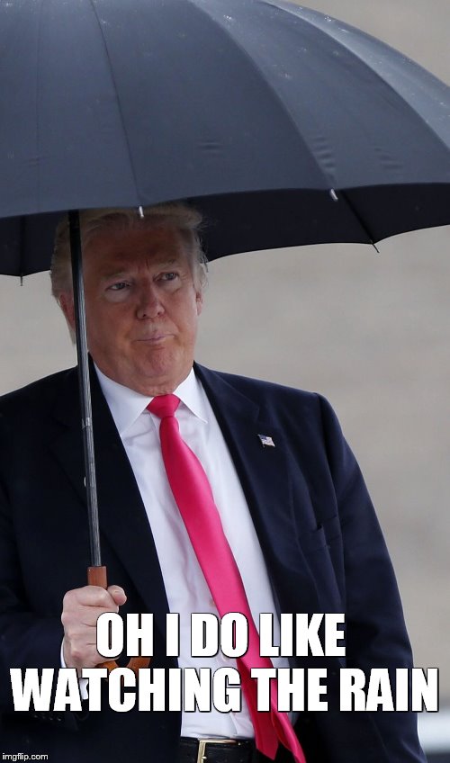 Image tagged in trump in the rain Imgflip