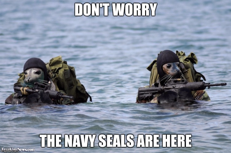 Navy Seals Imgflip