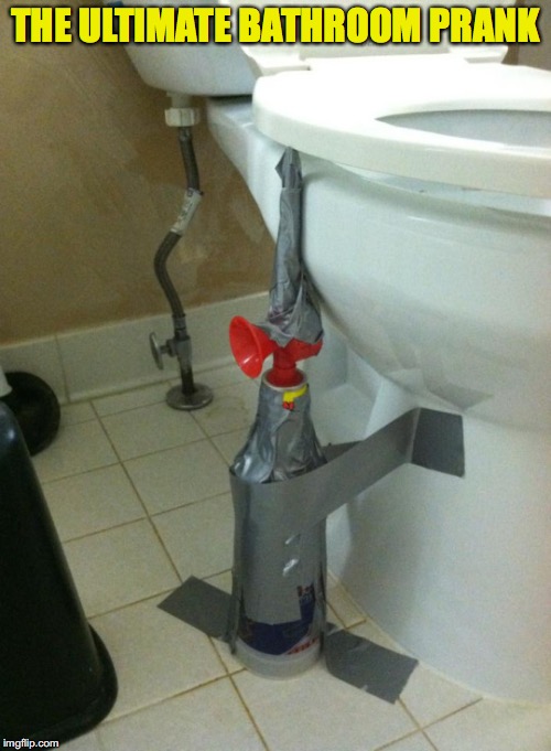 toilet seat Memes & GIFs Imgflip