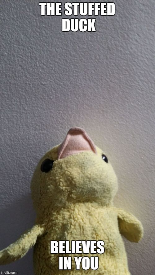 Image tagged in the stuffed duck Imgflip
