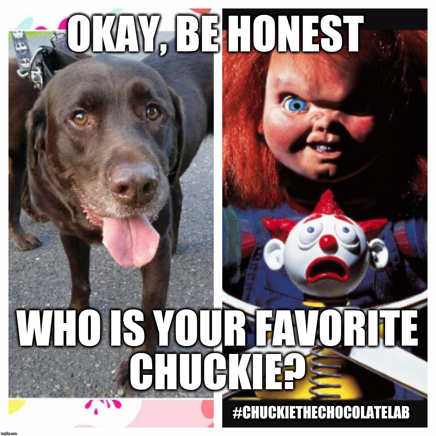 Who is your favorite Chuckie? Imgflip