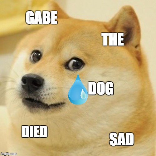 Doge Meme Imgflip