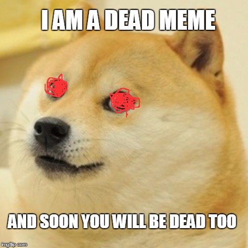 Doge Meme Imgflip