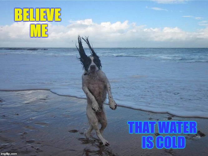 Cold Water Imgflip