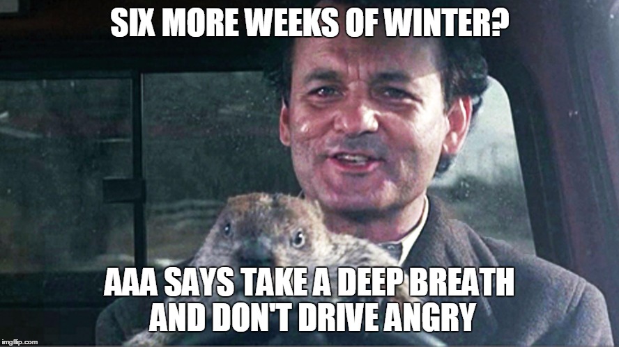 Image tagged in groundhog Imgflip