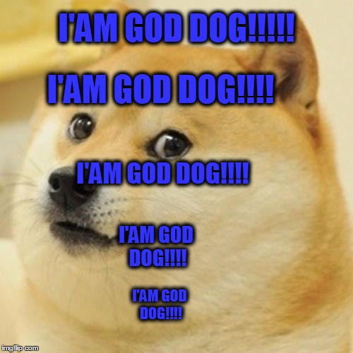 Doge Meme Imgflip