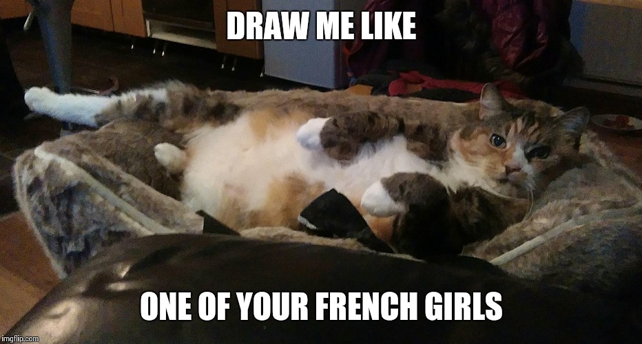 Cat Draw Me Like One Of Your French Girls Cat Lovster