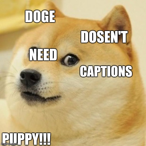 Doge Meme Imgflip