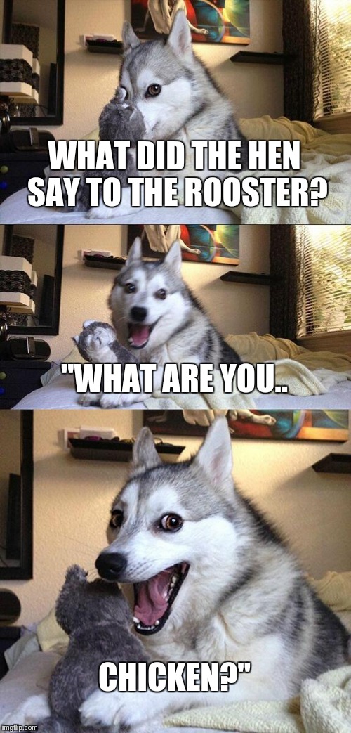 Bad Pun Dog Meme Imgflip