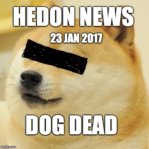 Doge Meme Imgflip
