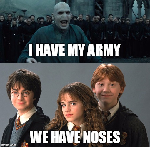 Image tagged in noses,harrypotter,voldemort Imgflip