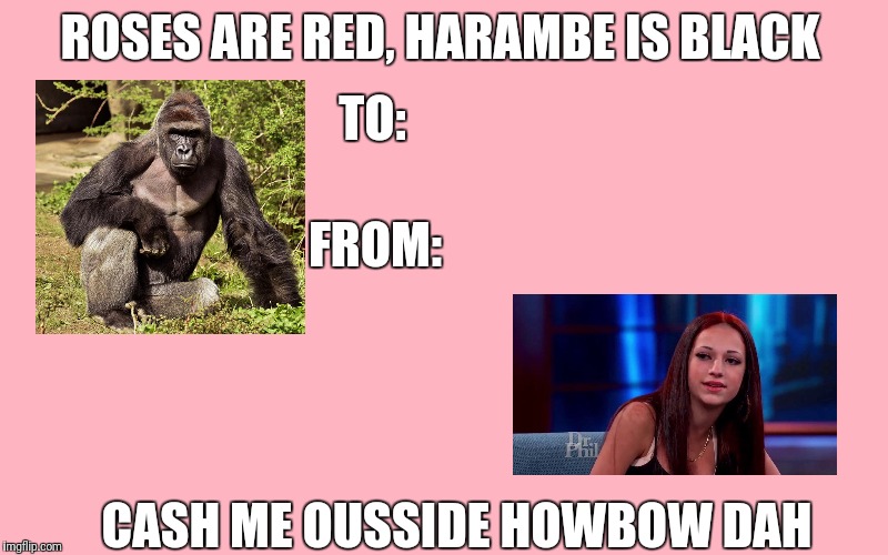 Roses are red harambe is black cash me ousside howbow dah valentine