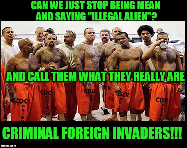 illegal aliens Imgflip