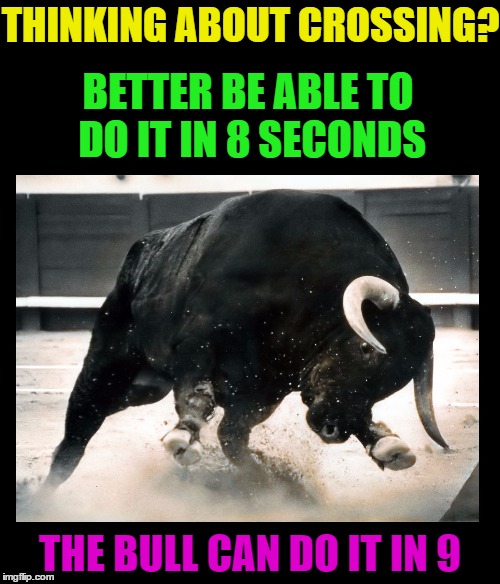 bull Imgflip