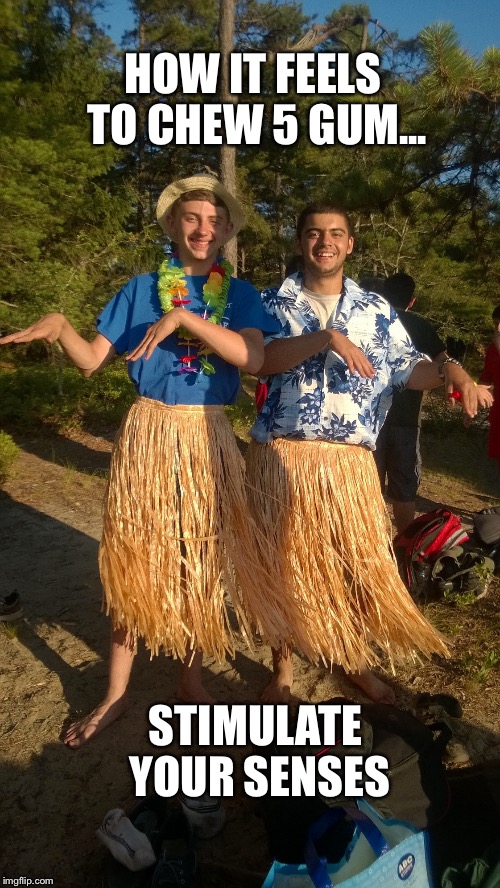 Image tagged in 5 gum Imgflip