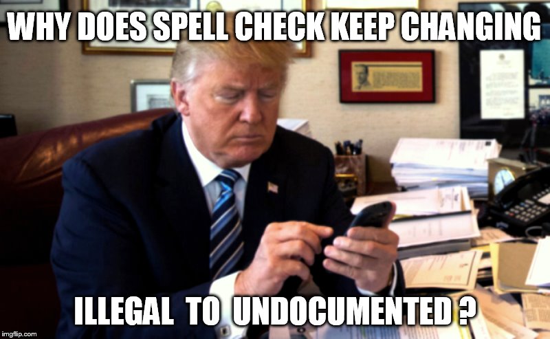 Image tagged in trump,illegal immigration,spell check Imgflip