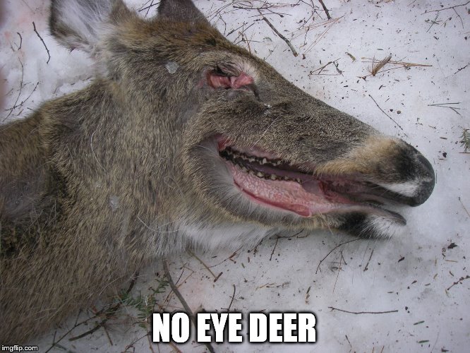 No Eye Deer Joke Trend Meme