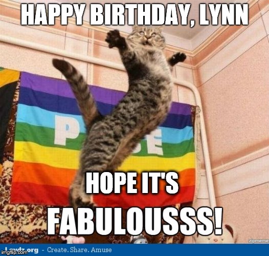 Fabulous birthday cat Imgflip