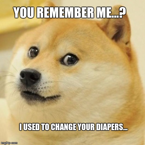 Doge Meme Imgflip