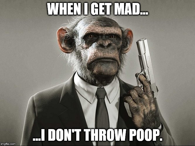 Chimpanzee with Gun Imgflip