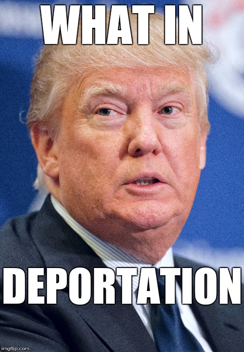 What In Tarnation Meme Generator