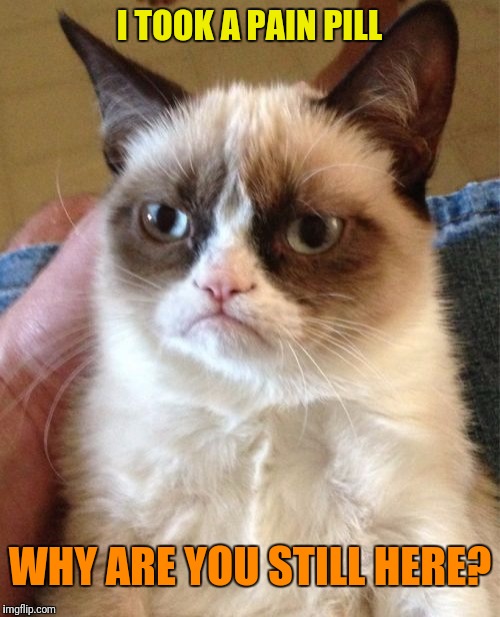 Grumpy Cat Meme Imgflip