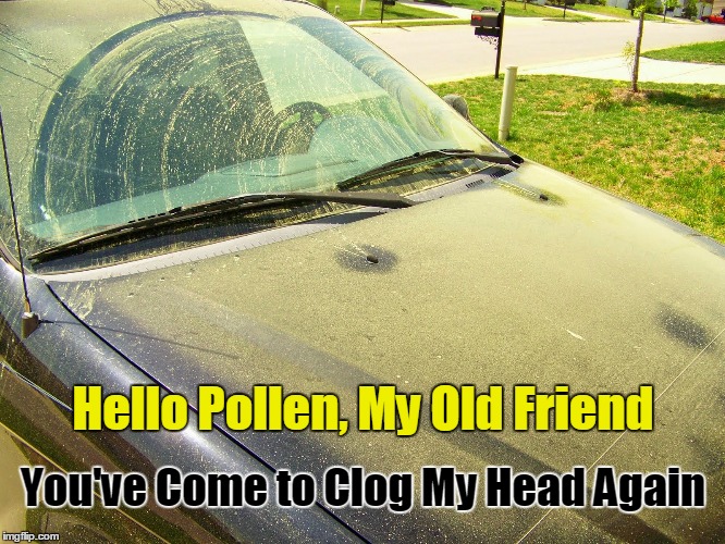 Pollen Season in Atlanta, Imgflip
