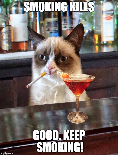 Image tagged in grumpy cat Imgflip